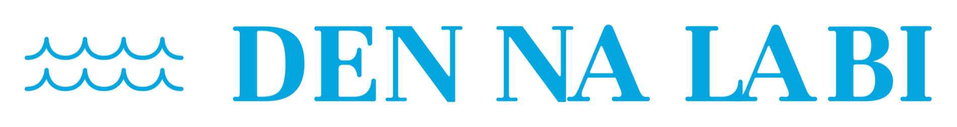 blue logo no background